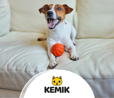 kemik