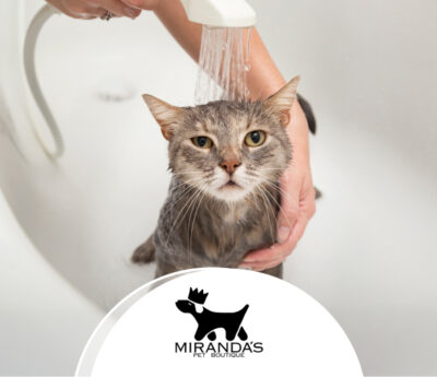MIRANDAS PET BOUTIQUE
