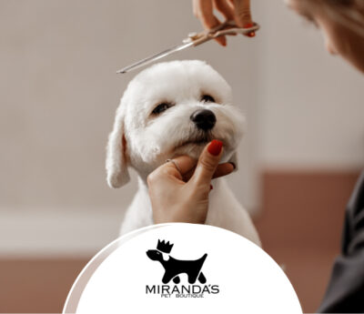 MIRANDAS PET BOUTIQUE